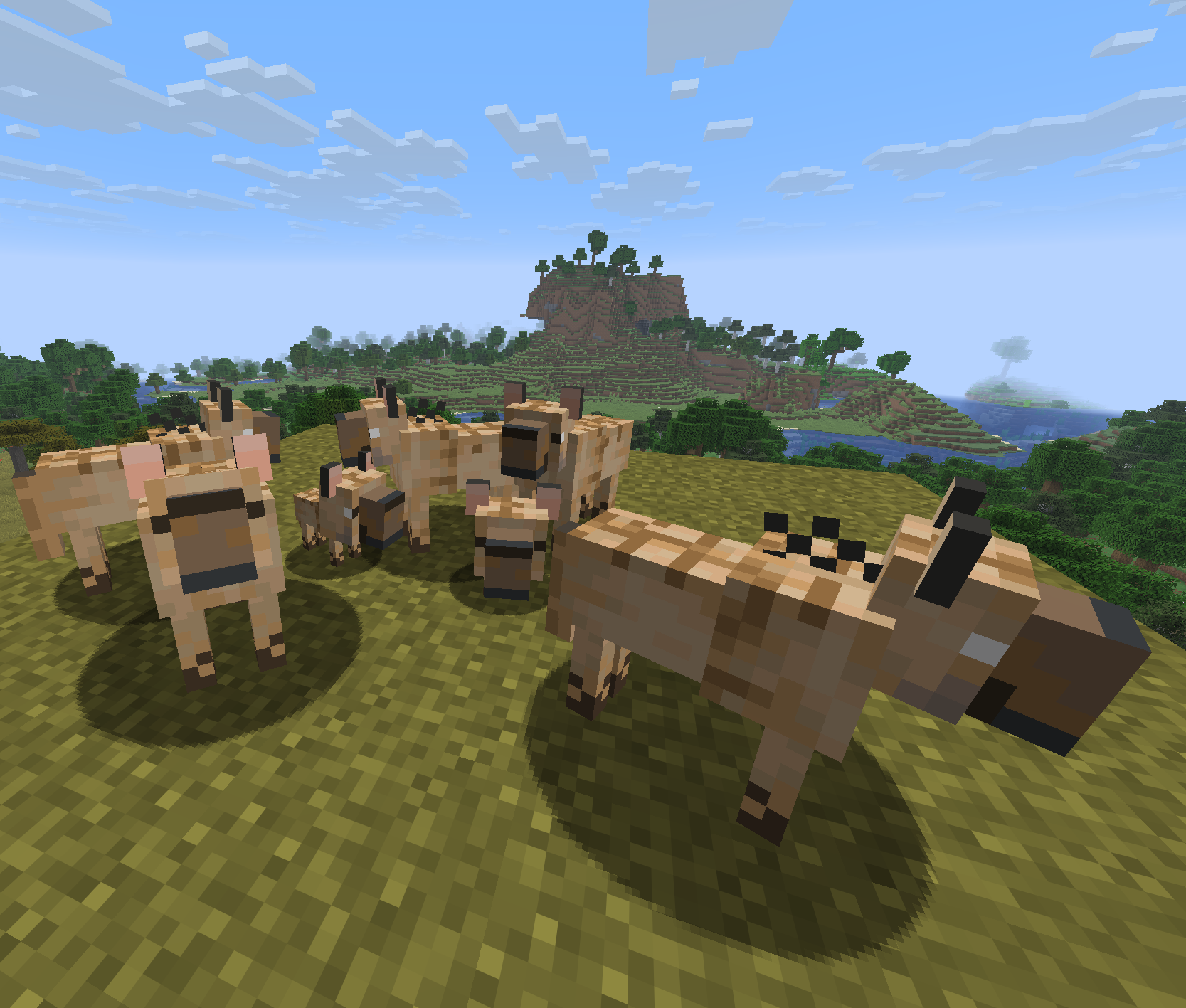 hyenas