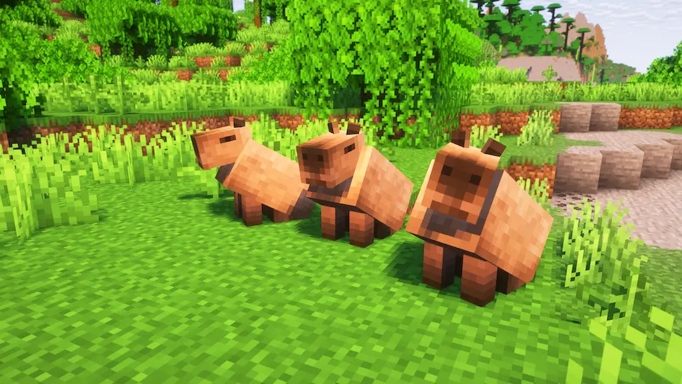 Capybaras Sitting