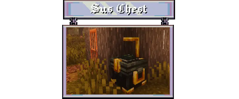 SUSPICIOUS CHEST