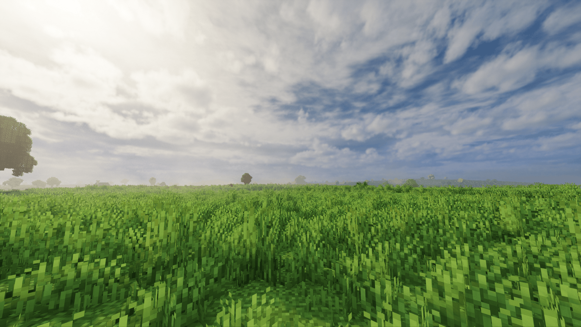 field cloudy
