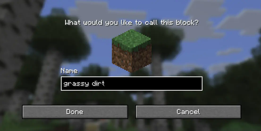 A screenshot of the renaming screen. A prompt asks "What would you like to call this block?", and below it a grass block is displayed, along with a text field with the words "grassy dirt" inputted.
