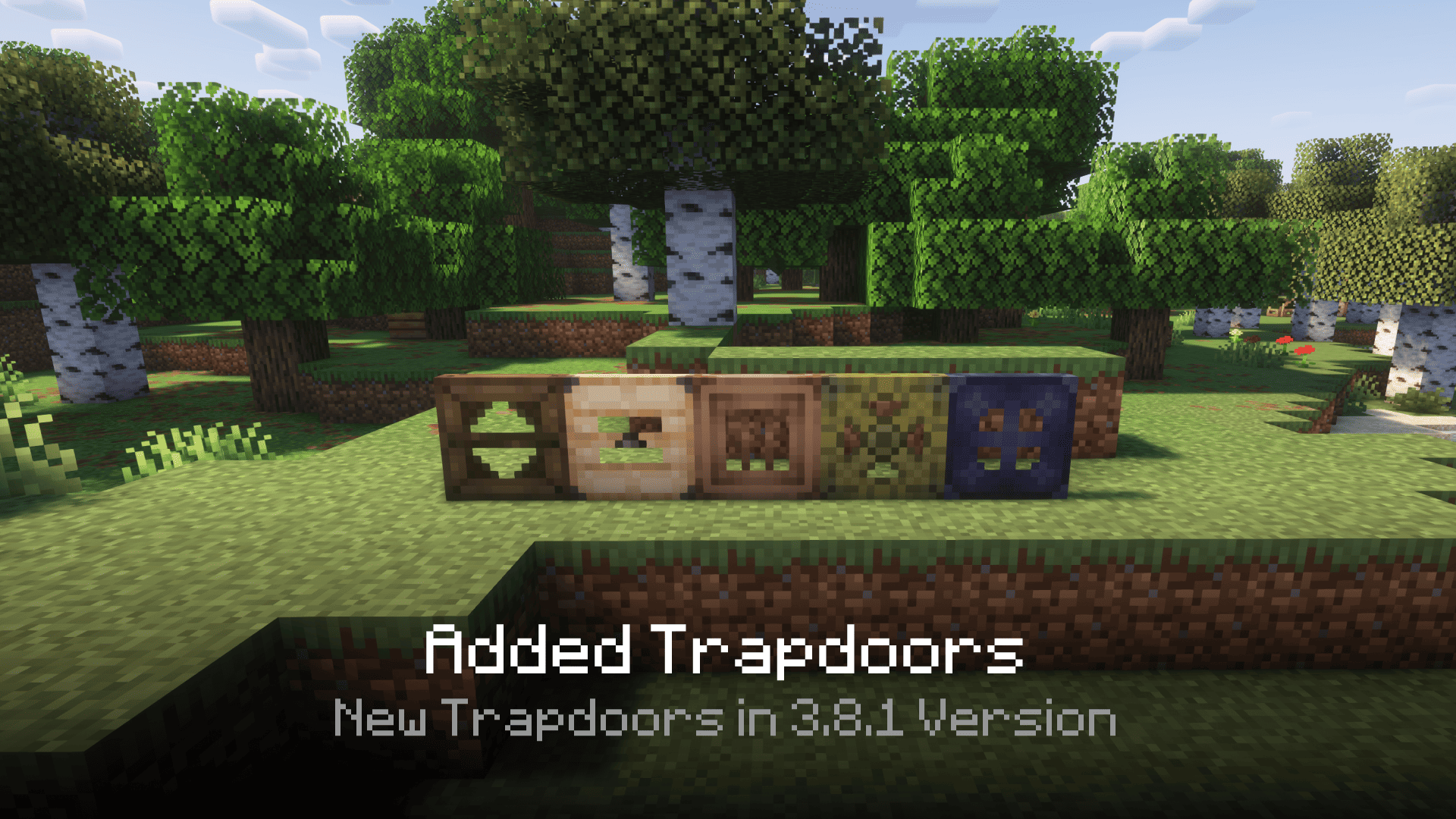 3.8.1