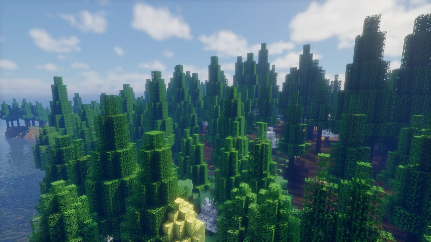 Metasequoia forest