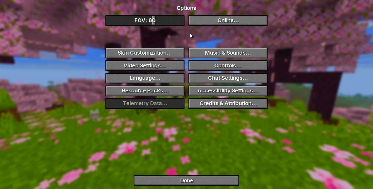 ⚙️ Options Menu Preview