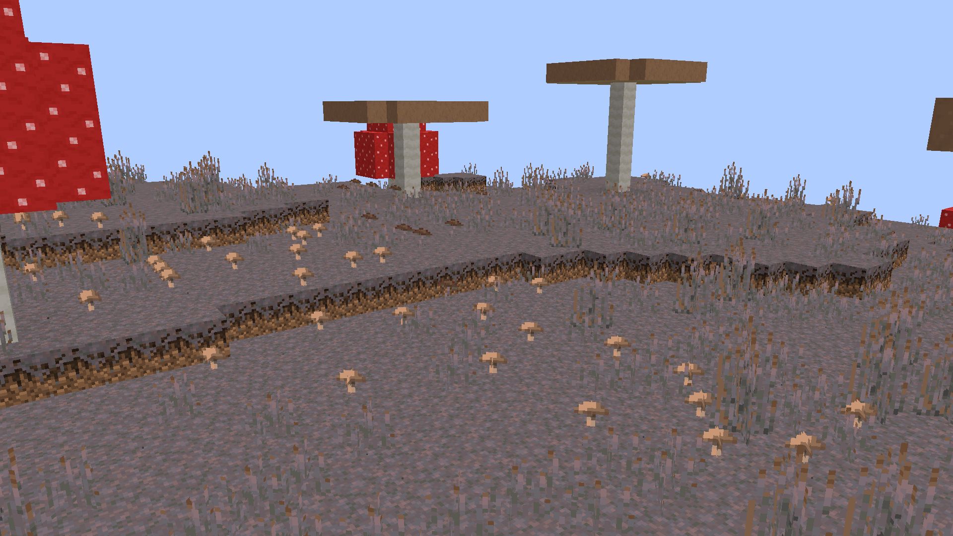 What the biome looks like now.