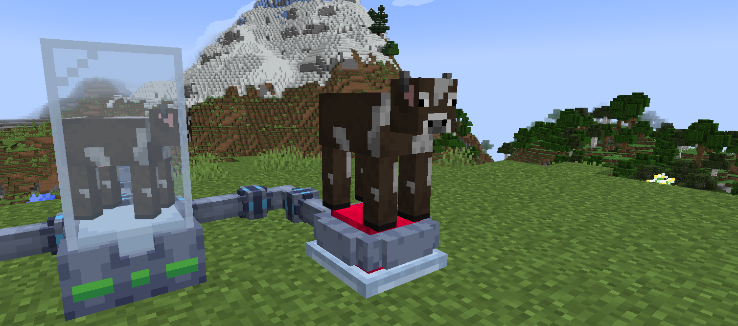 Reformer growing clone