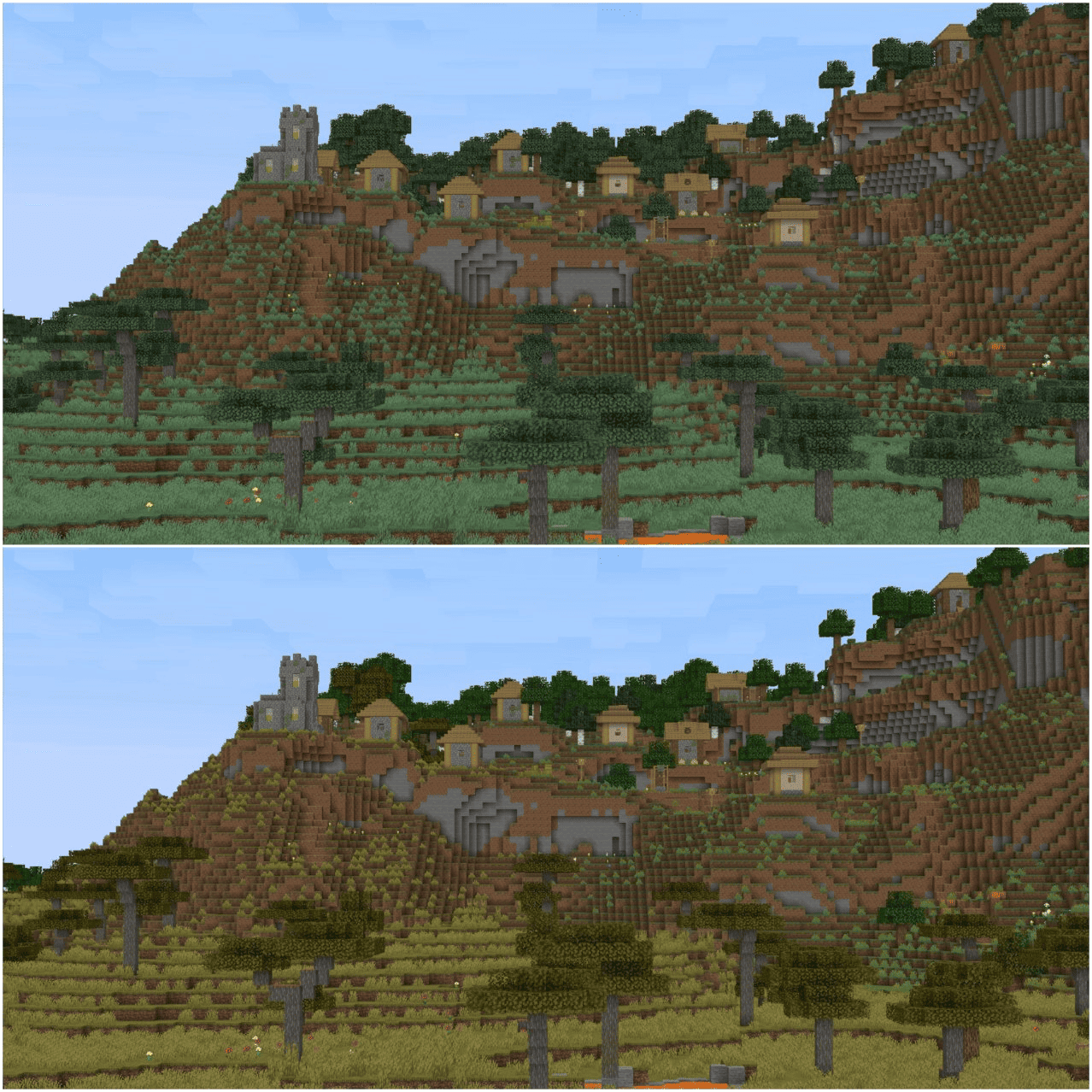 Savanna