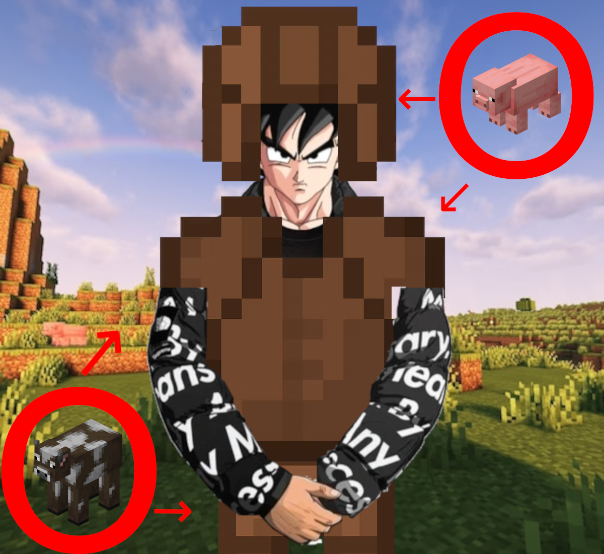 The image shows drip goku in leather armor with a scenic minecraft background. A pig and a cow are off to the sides. They are encircled by a red circle and have red arrows pointing to the pieces of his armor.