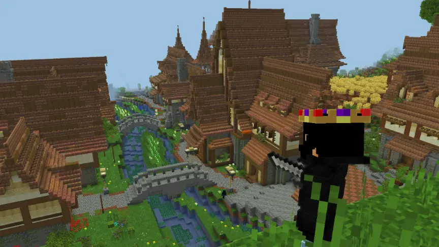 The Visual Representation of Pack being used in a Screenshot