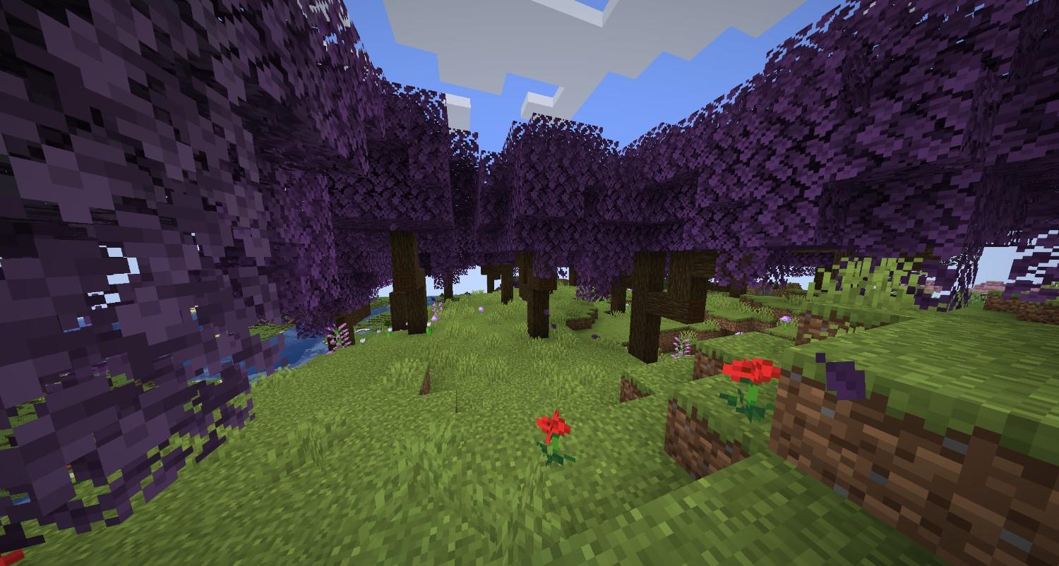 Violet Grove