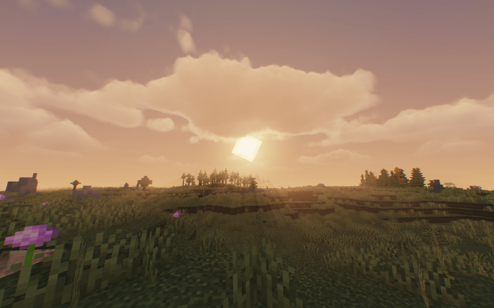 sunrise