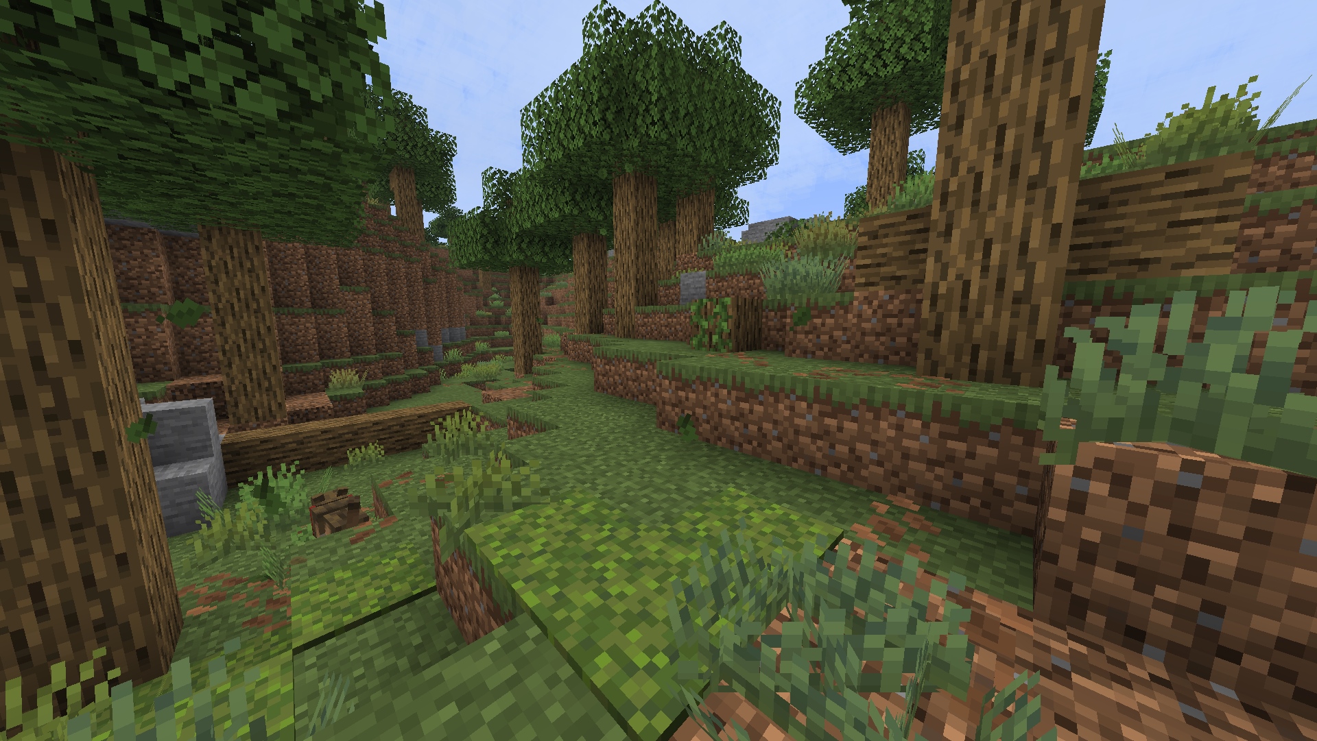 Oak Woodland