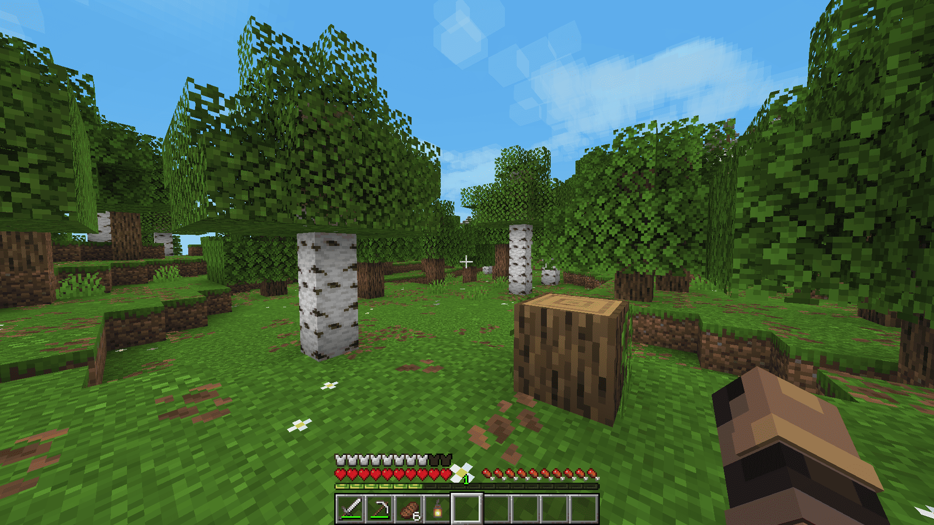 Gameplay 4