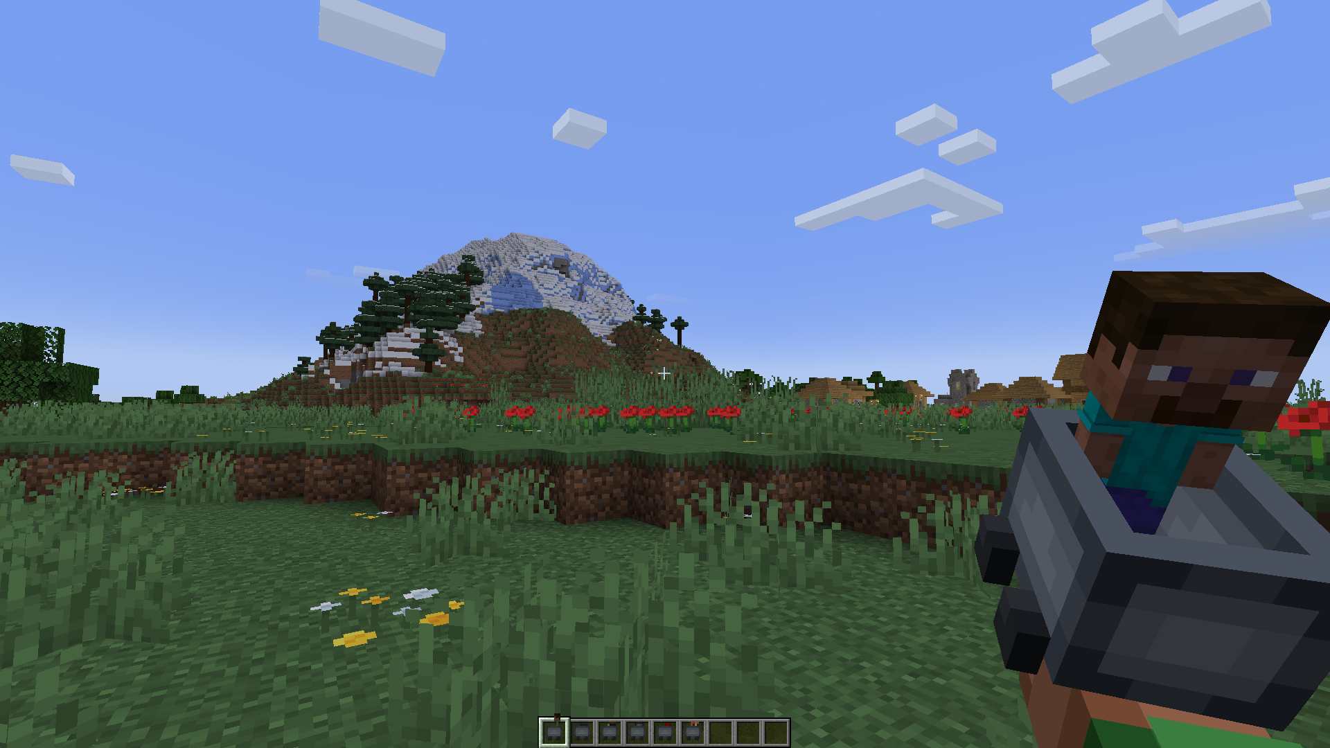 In-game (With Steve)
