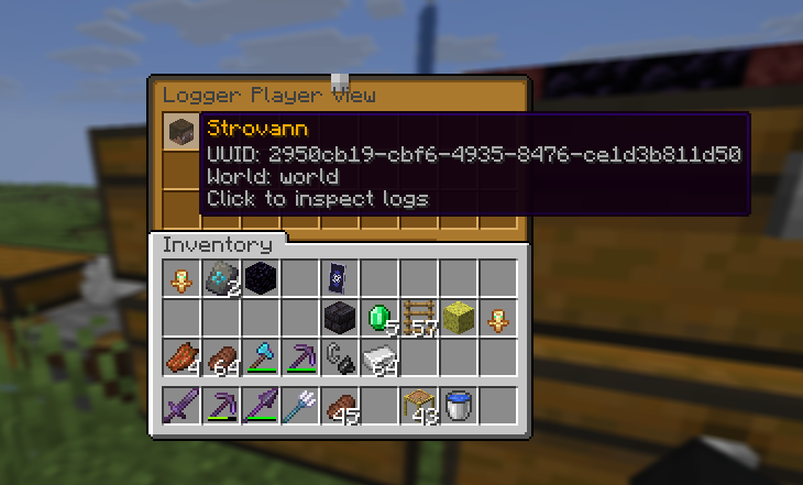 player inspect gui