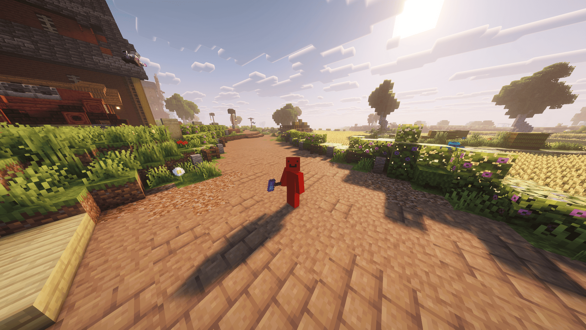 Third Person View