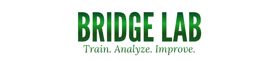 BridgeLab banner
