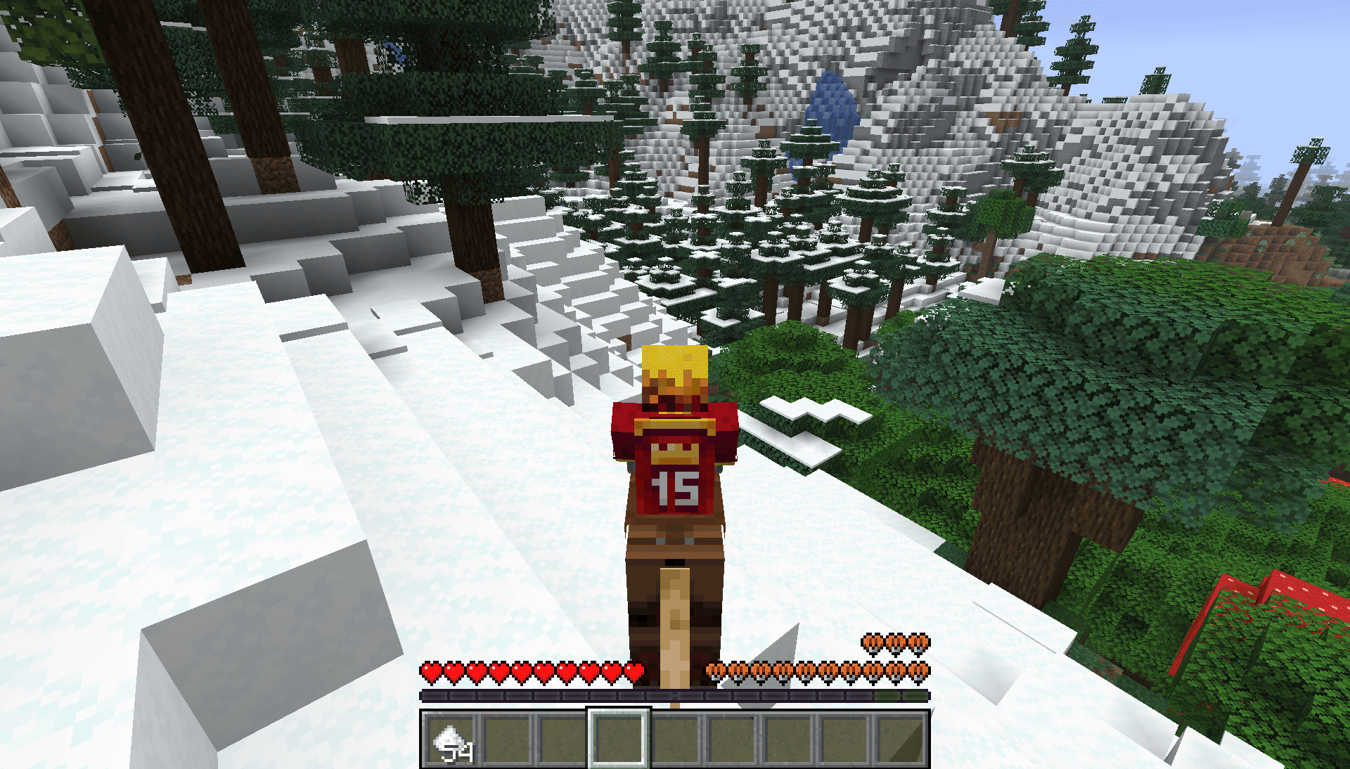 a player(me) on a horse with leather horse armor. the horse is standing on powdered snow. The surroundings are a dark oak forest to the right, some grove to the left and a small valley with a waterfall in the distance.
