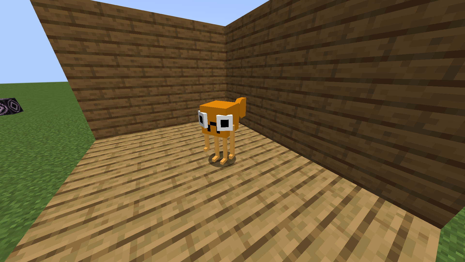 Poisson Steve