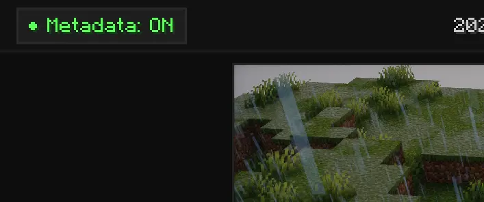 metadata on
