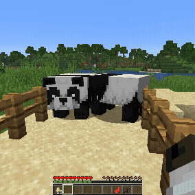 PandasToEggs