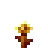 Golden Dandelion