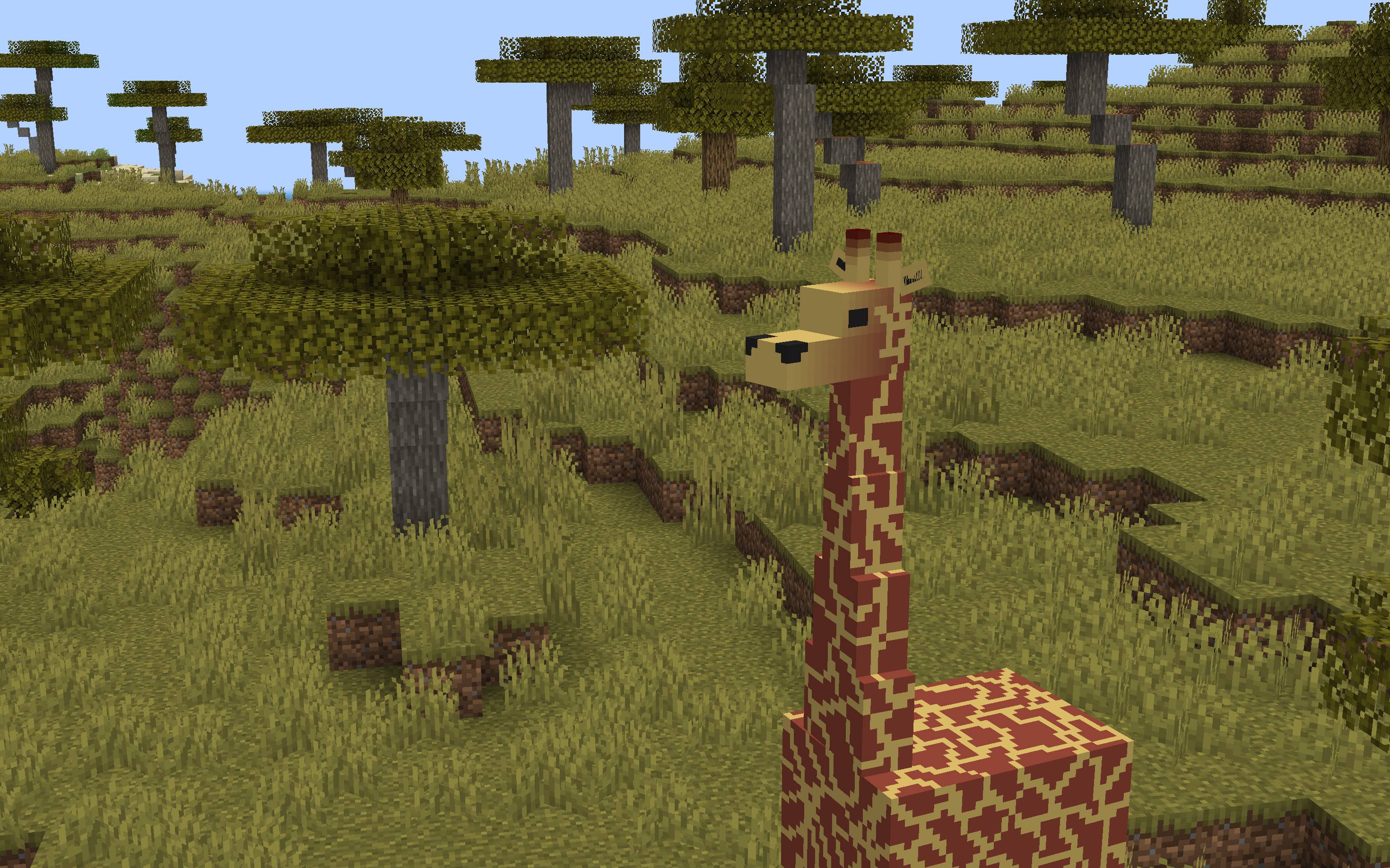 The giraffe in its natural surroundings.