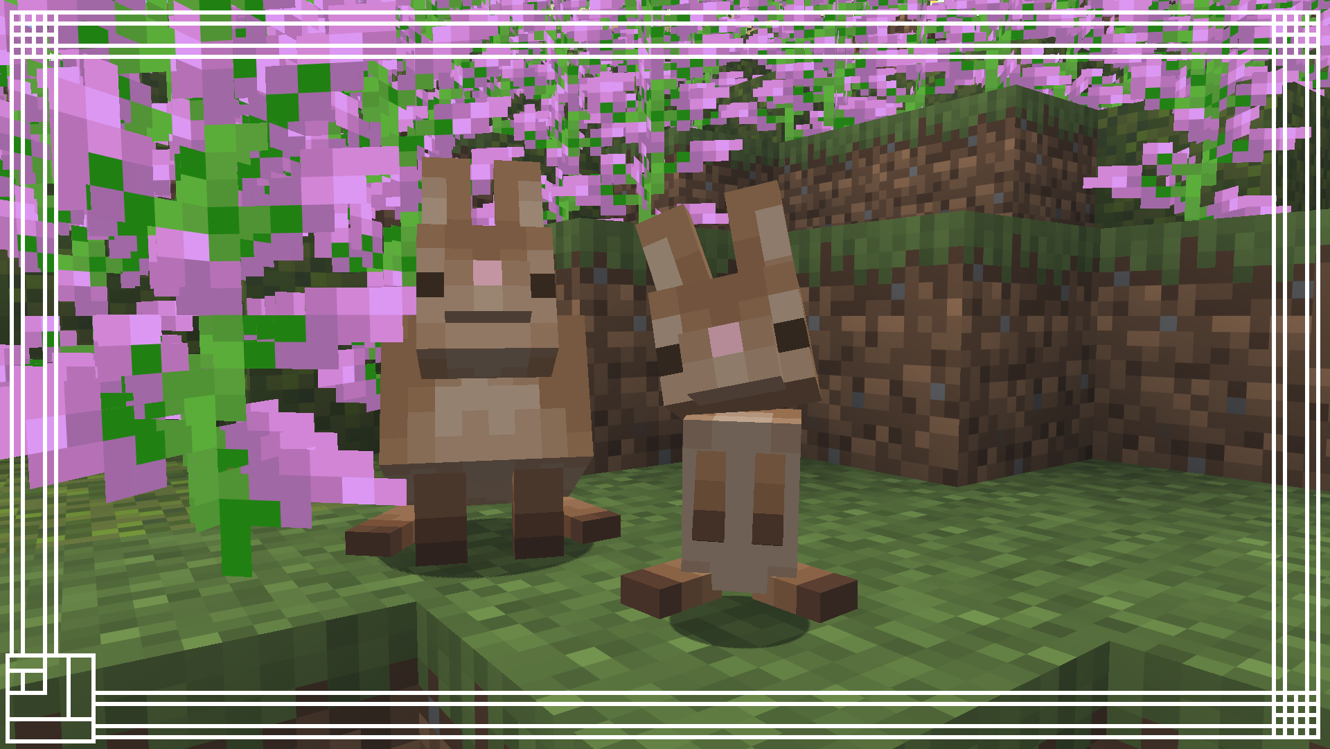 bunny and rabbit