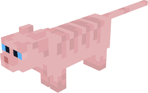 Sphynx