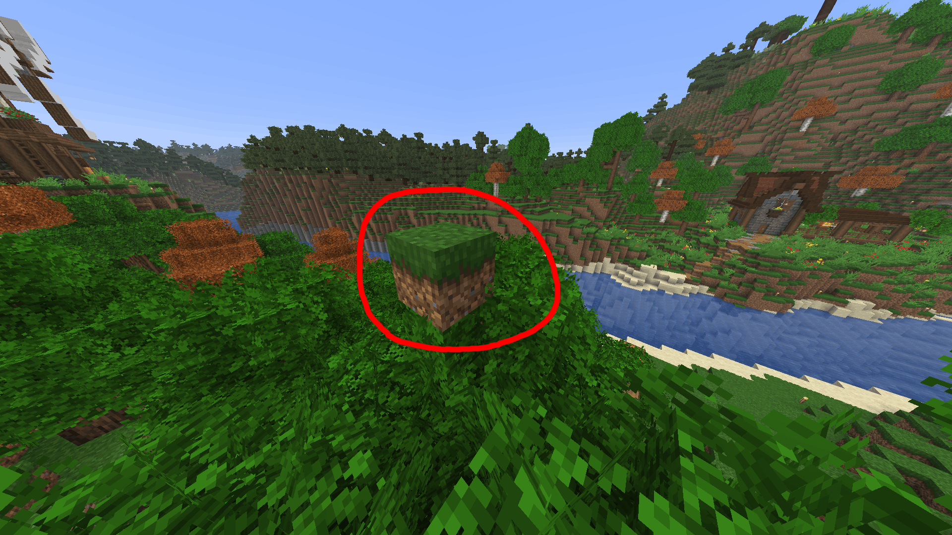 Grass block placed by an enderman in an improper place