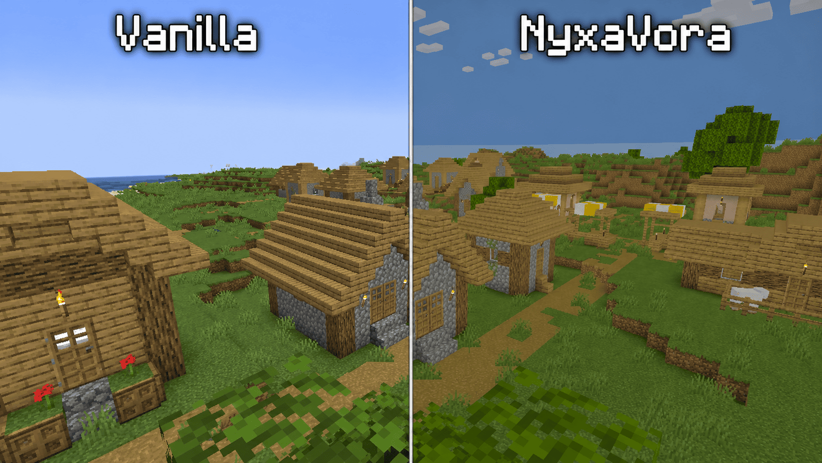 Comparsion