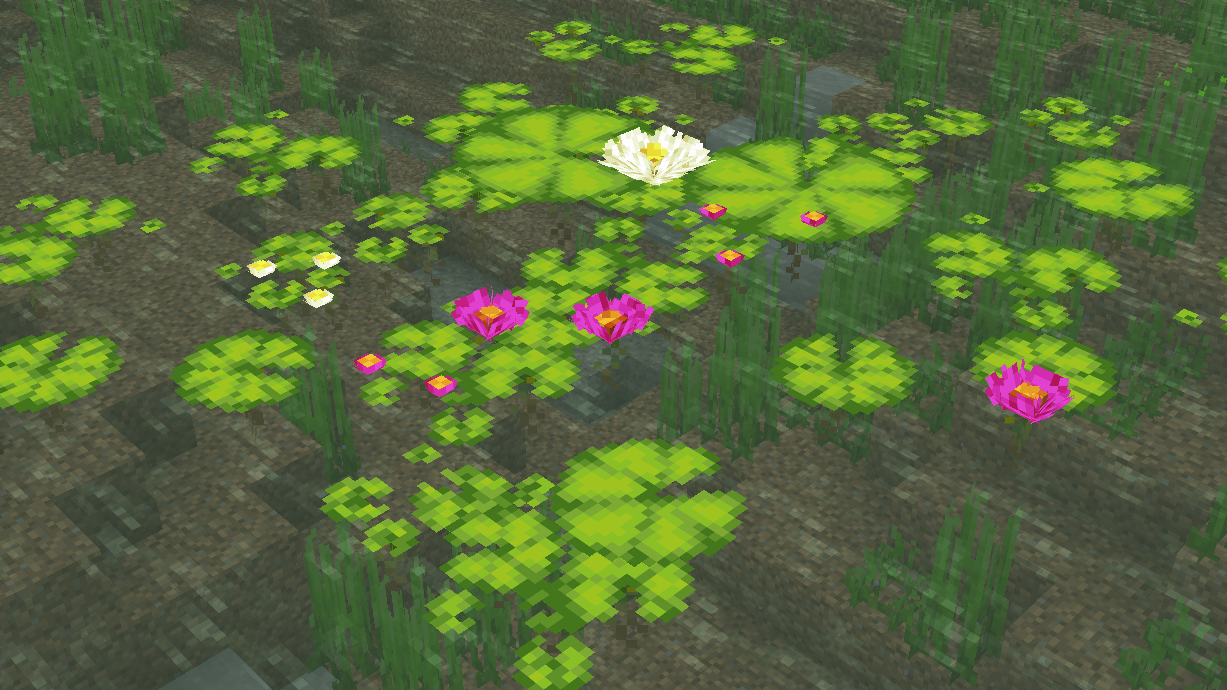 Lilypads