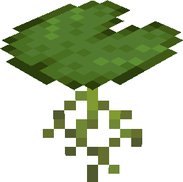 lily pad