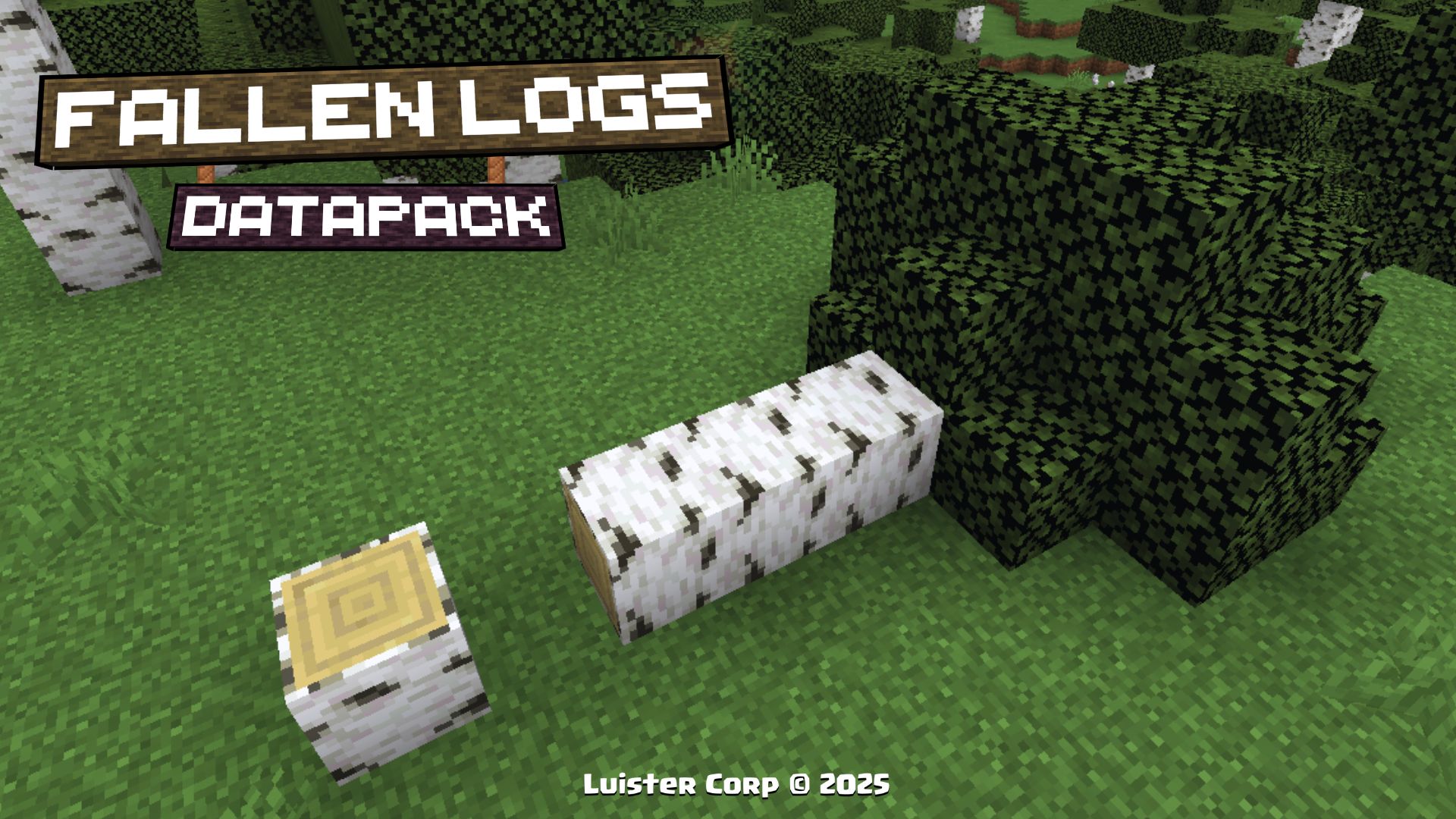 Birch Log