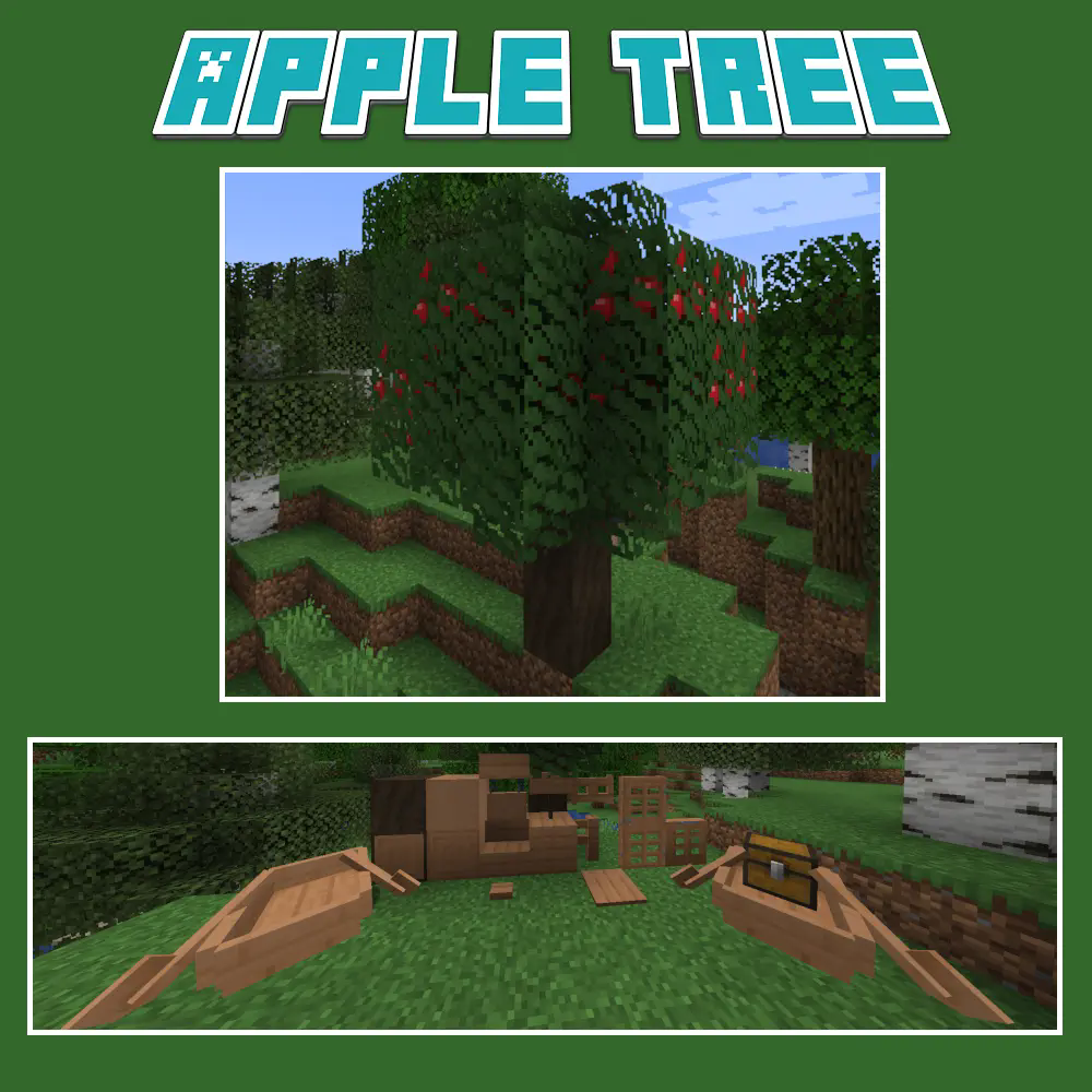 Apple Tree
