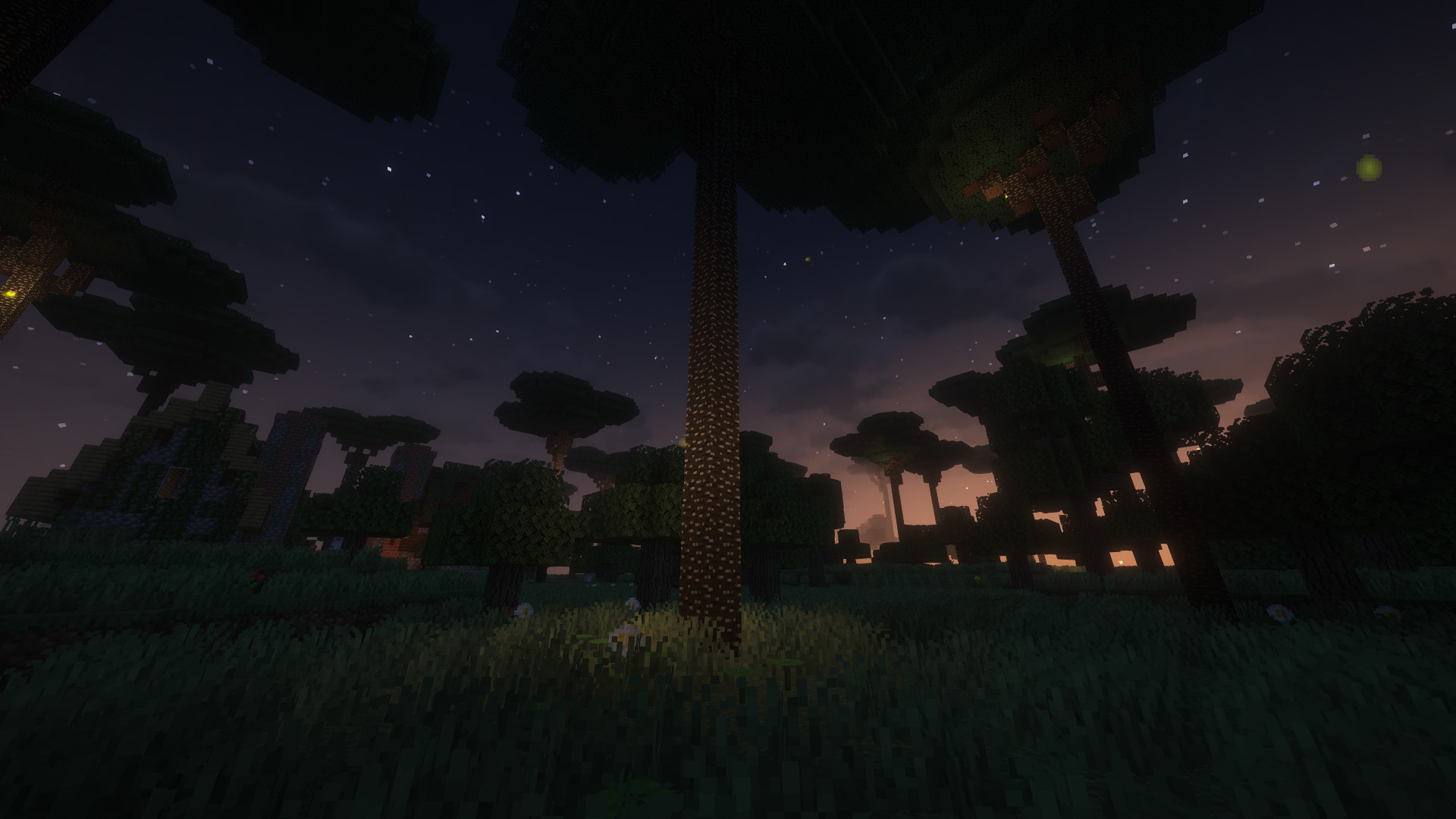 twilight forest