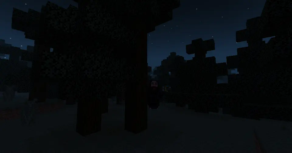 A spruce forest at night, with no lights other than the stars. Something mysterious is lurking in the shadows.