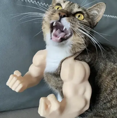 ARGGGH