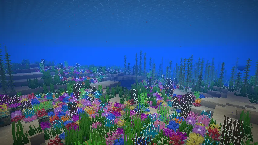 THE REEF