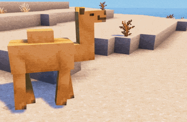 Camel Walking GIF