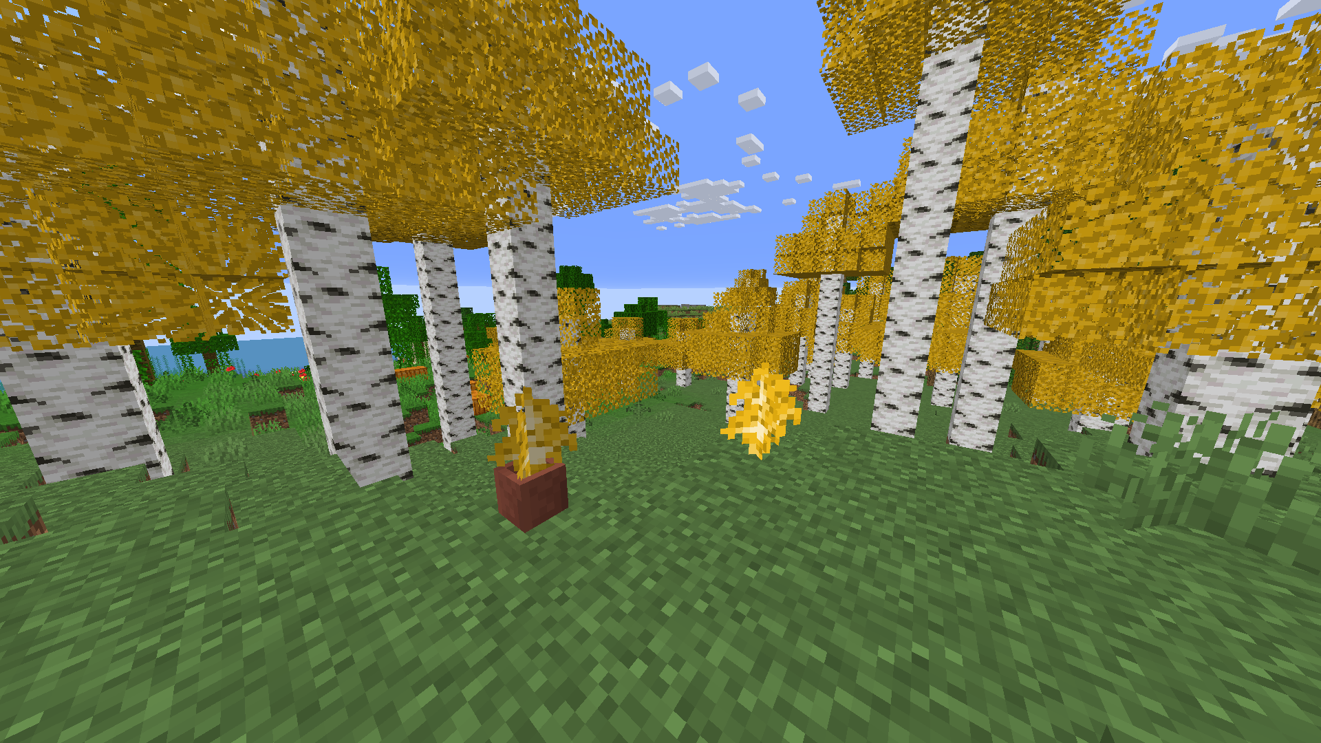 Birch leaves are yellow / golden