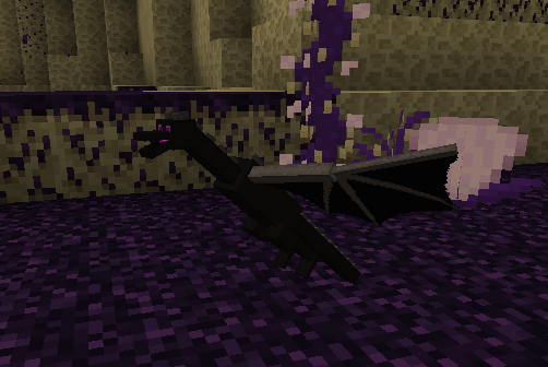Baby Ender Dragon