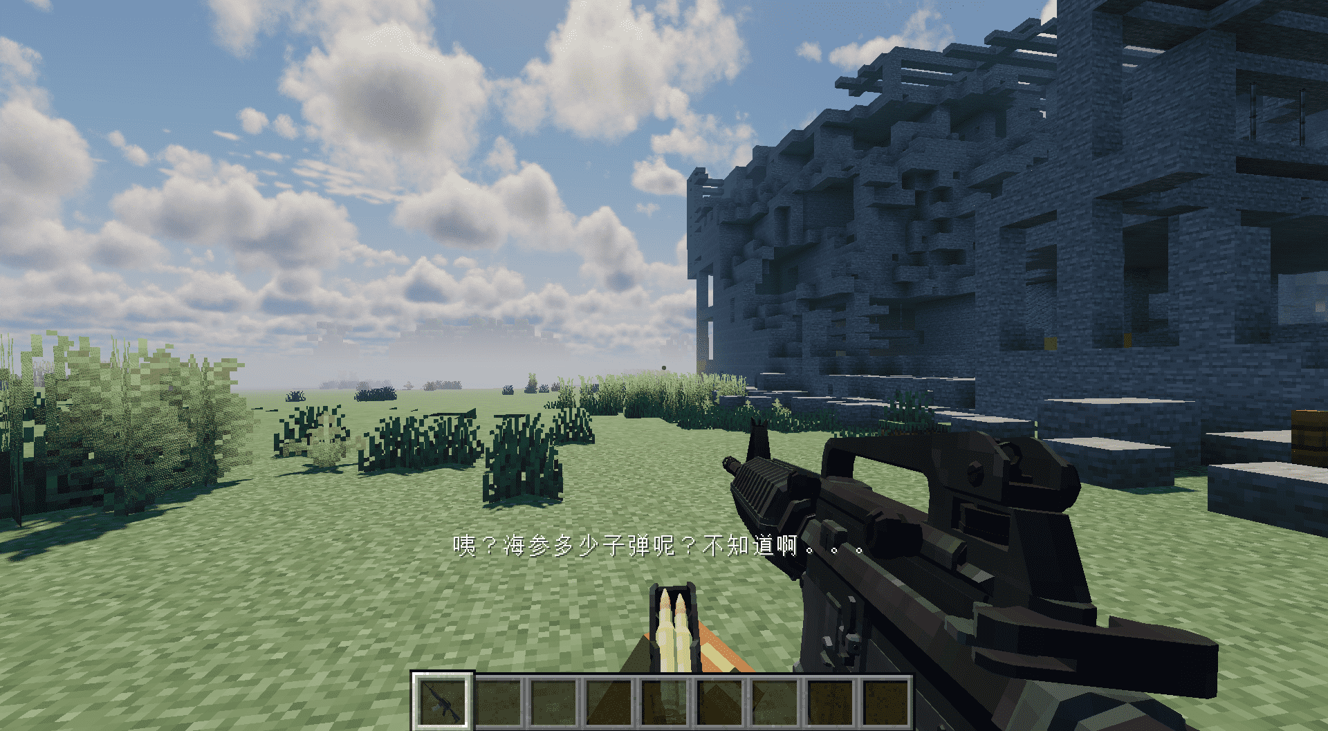 mag check