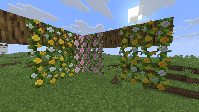 vines