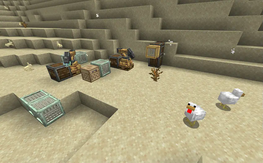 chickens