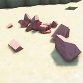 PigImage3