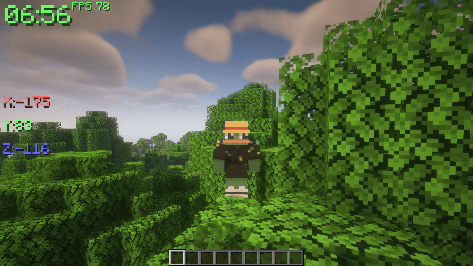 Coordinates screenshot