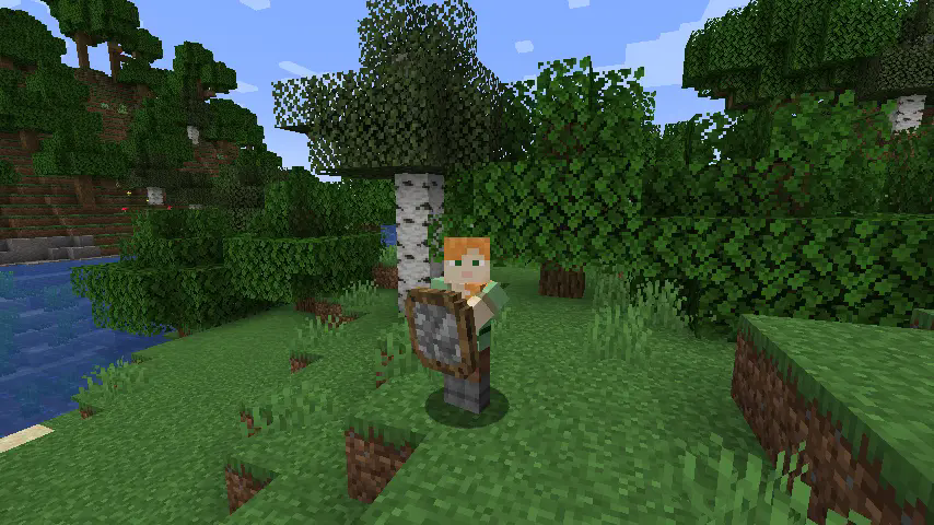 Alex holding a stone shield