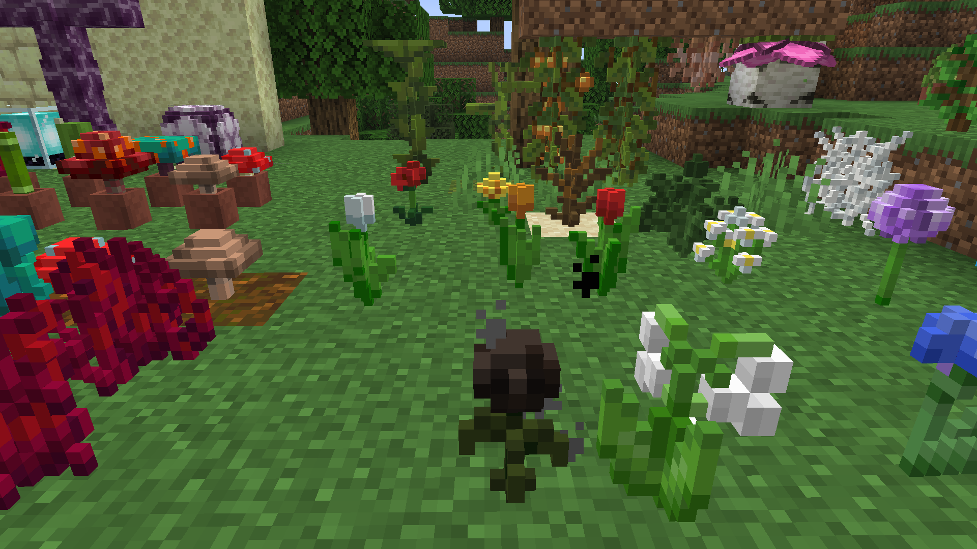 3D models of flowers.