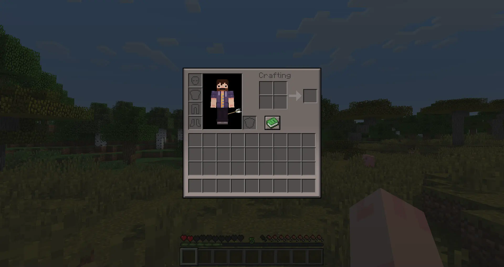 The survival inventory.